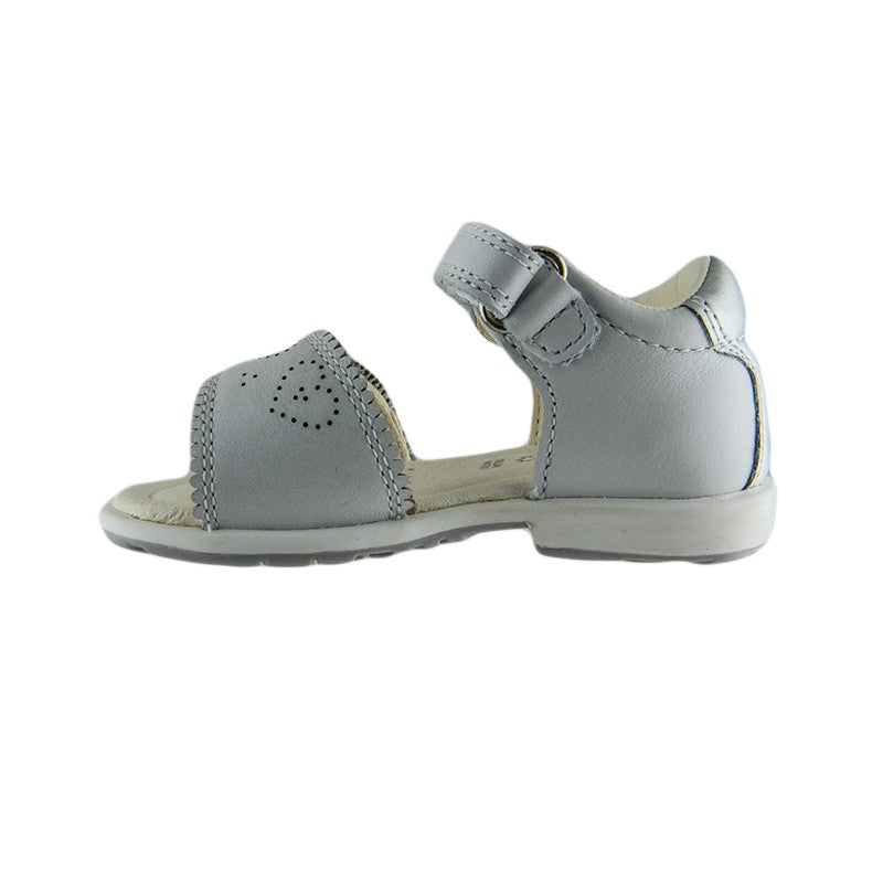 1158121 large default Αντίγραφο