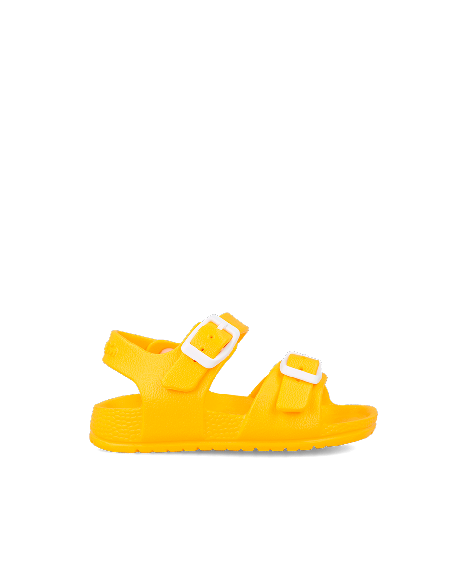 242870-C-01