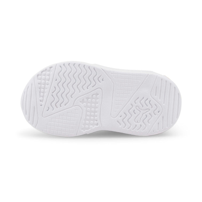 384900 01 sv02 scaled