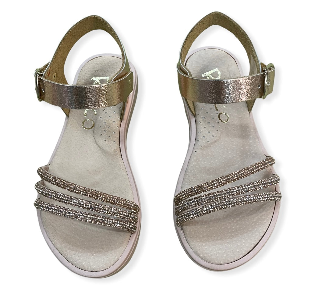 9E1E37DA 235E 4A69 91CC F03EF89A6274