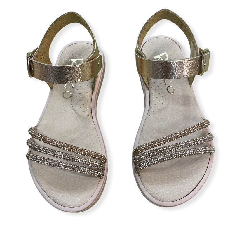 9E1E37DA 235E 4A69 91CC F03EF89A6274