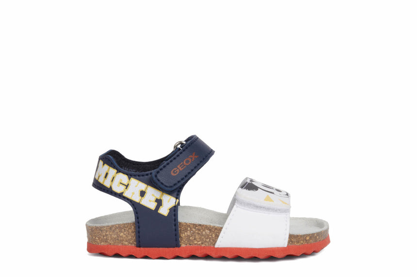 B152QC 000BC C4211 00