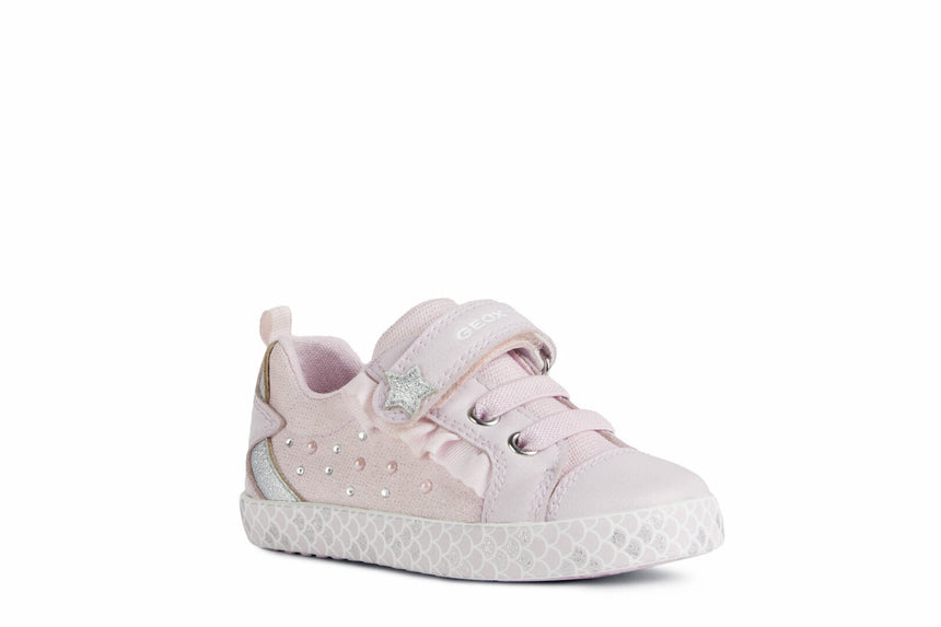 B25D5B 00954 C8004 10