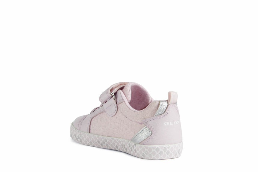 B25D5B 00954 C8004 30