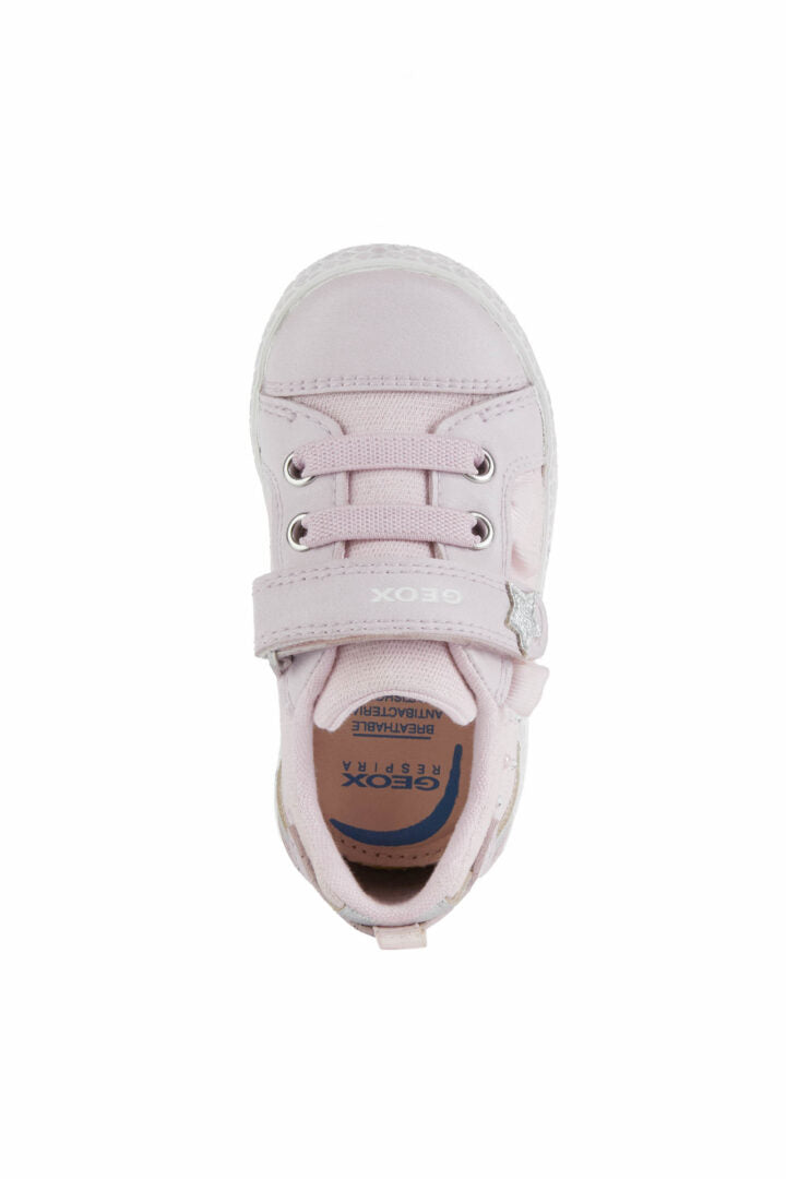 B25D5B 00954 C8004 50