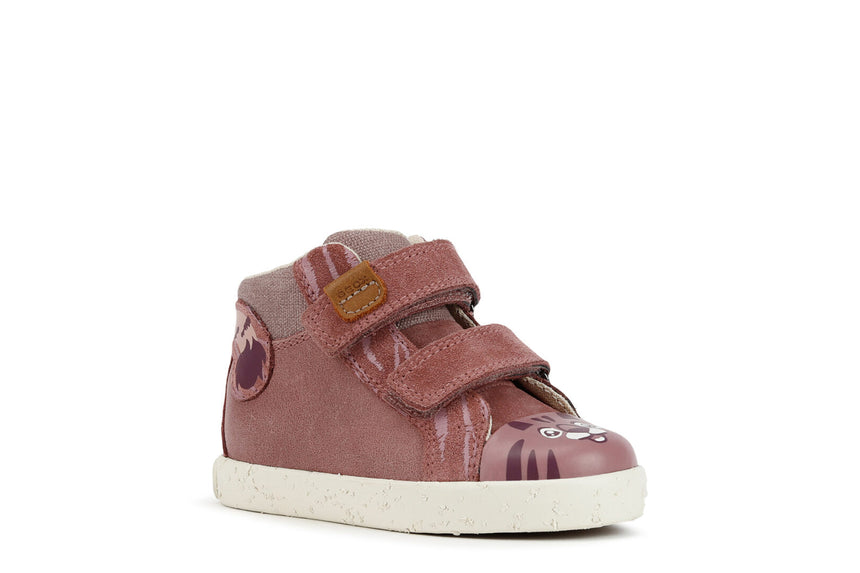 B26D5C 0CL22 C8007 10