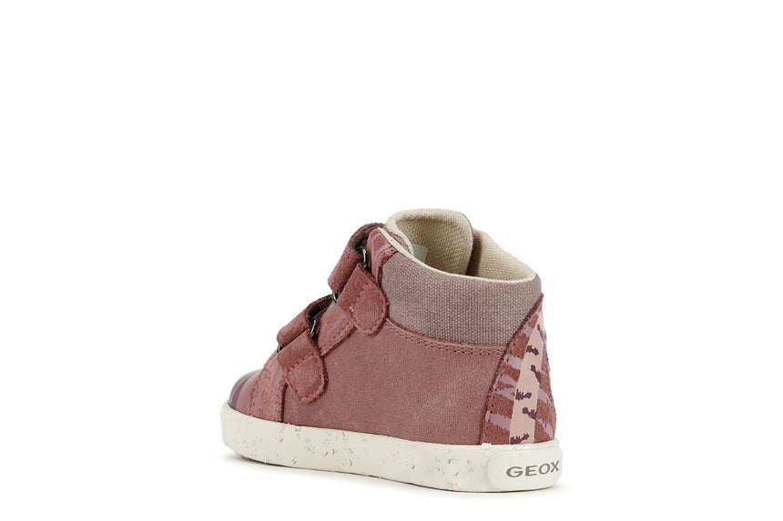 B26D5C 0CL22 C8007 30