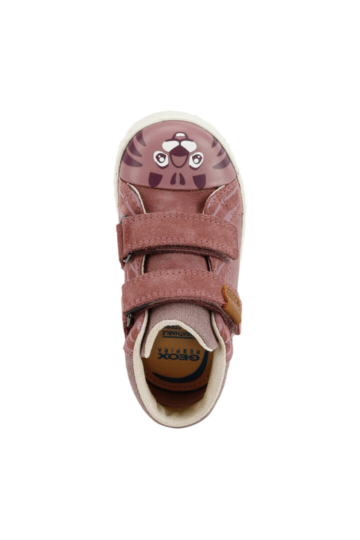 B26D5C 0CL22 C8007 50