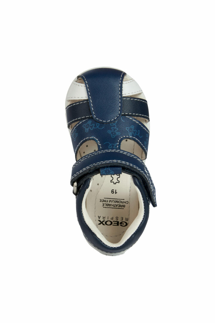 C F MPCB021PC000BCC4343 50