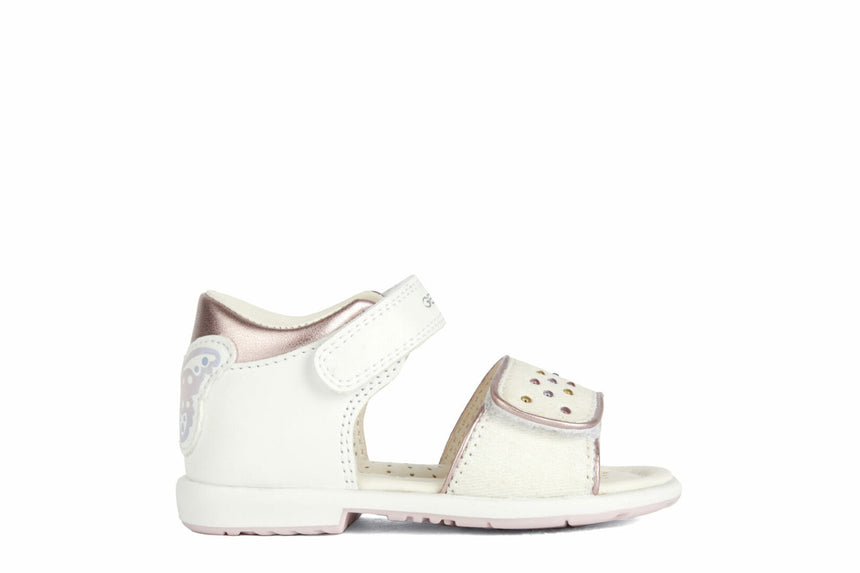 C F MPCB3521A08509C1253 00