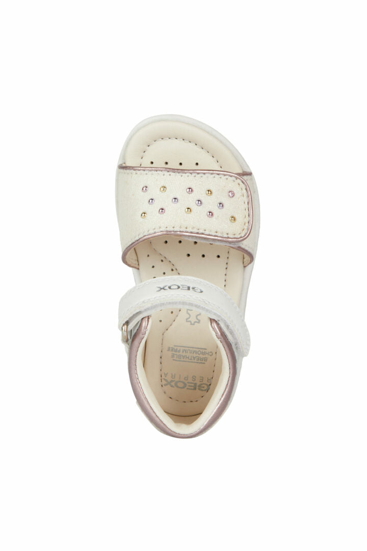 C F MPCB3521A08509C1253 50