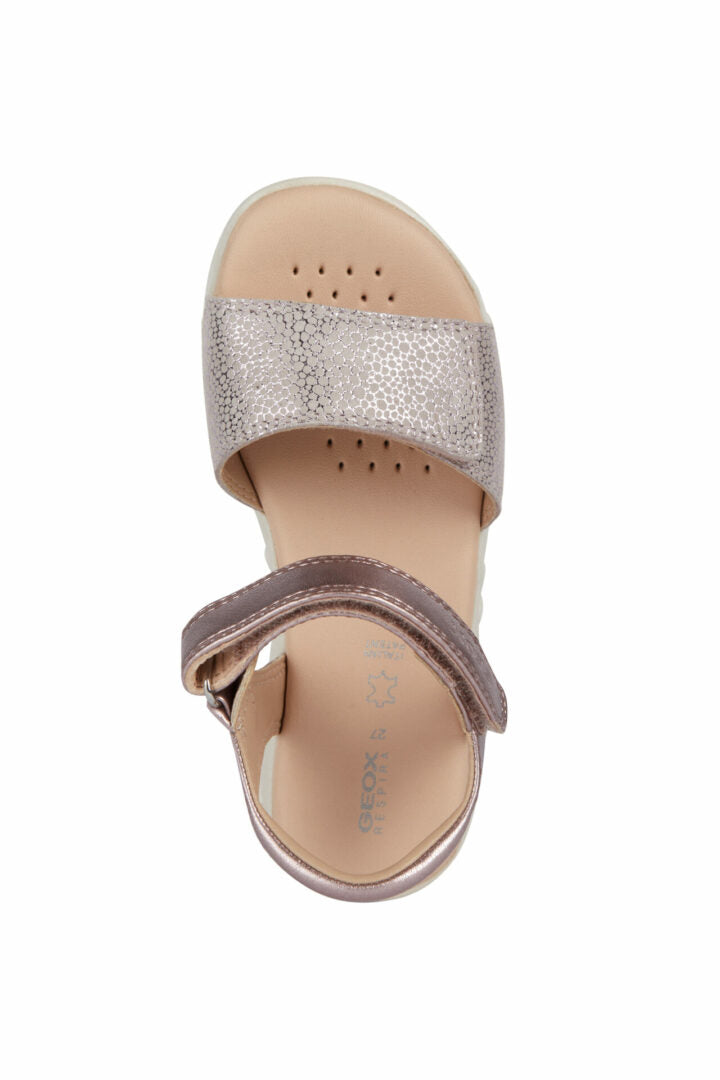 C F MPCJ028ZA007NFC8172 50