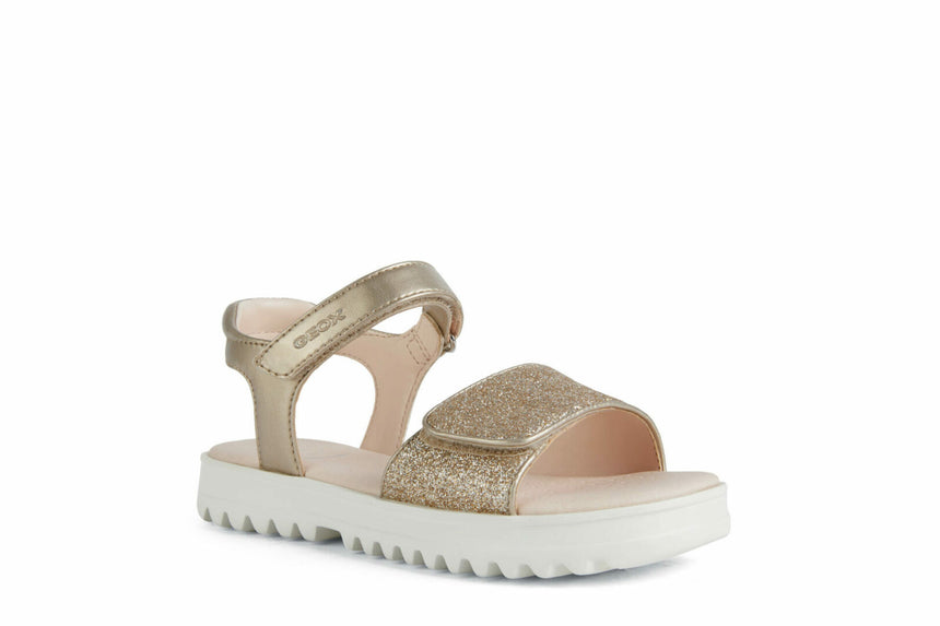 C F MPCJ256EB0NFEWC2010 10