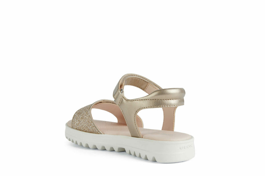 C F MPCJ256EB0NFEWC2010 30