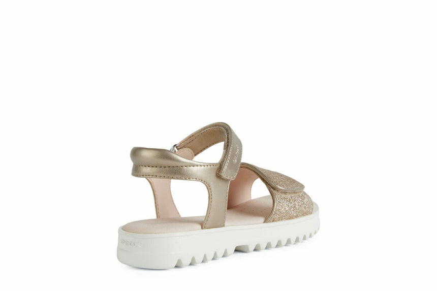 C F MPCJ256EB0NFEWC2010 40