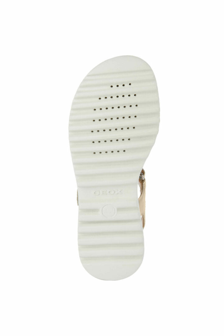 C F MPCJ256EB0NFEWC2010 60