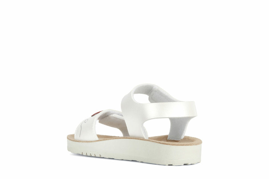 C F MPCJ35EAF000BCC0050 30