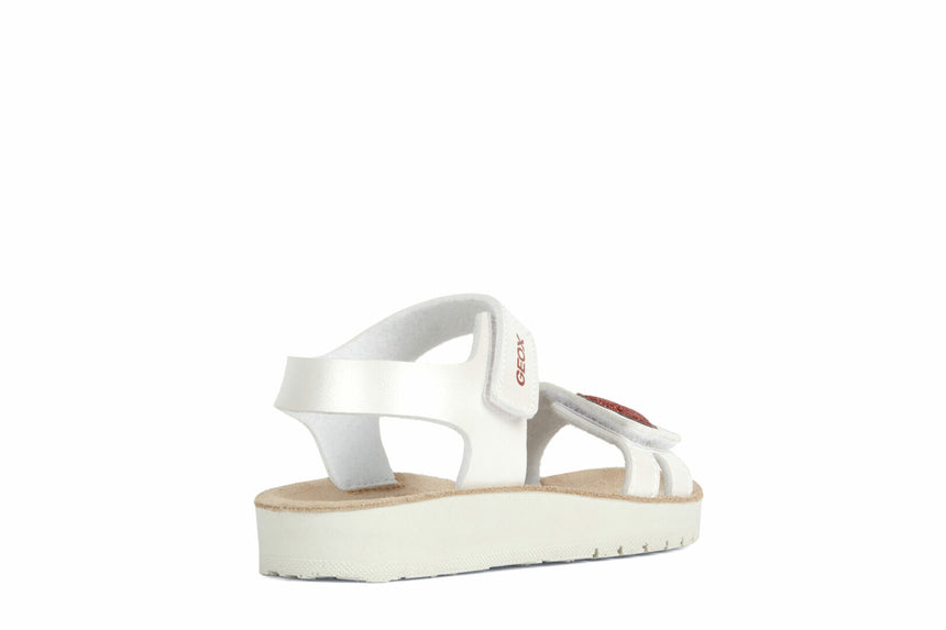 C F MPCJ35EAF000BCC0050 40