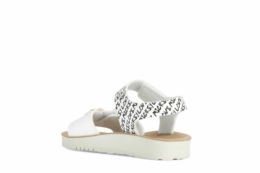 C F MPCJ35EAG000BCC0404 30