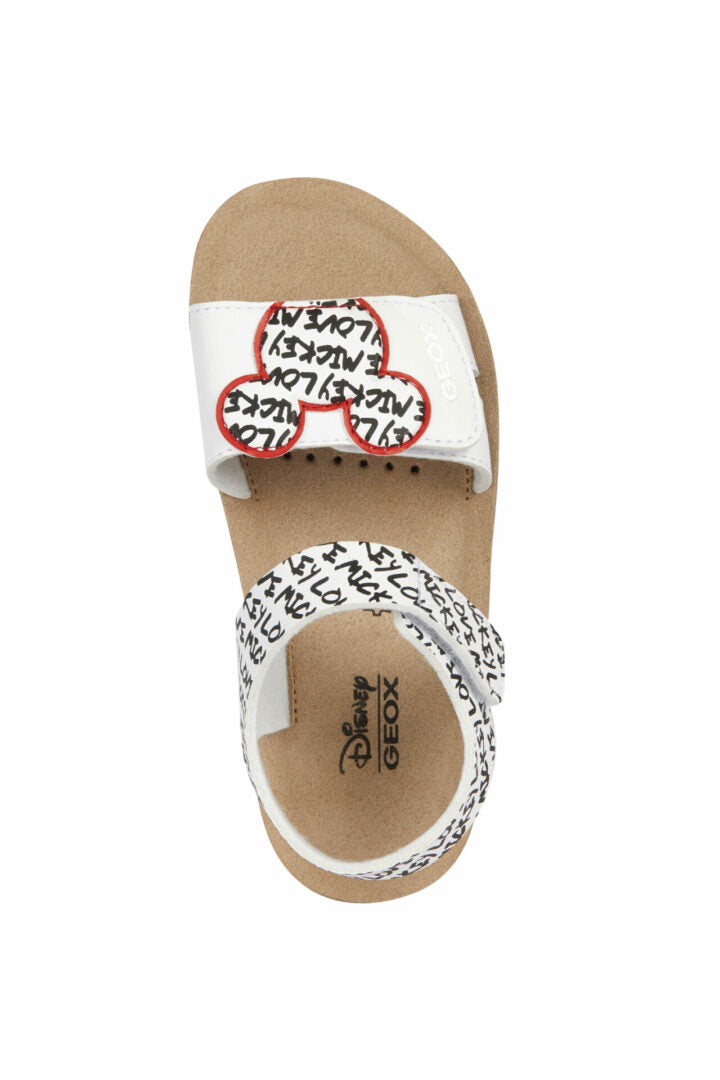 C F MPCJ35EAG000BCC0404 50