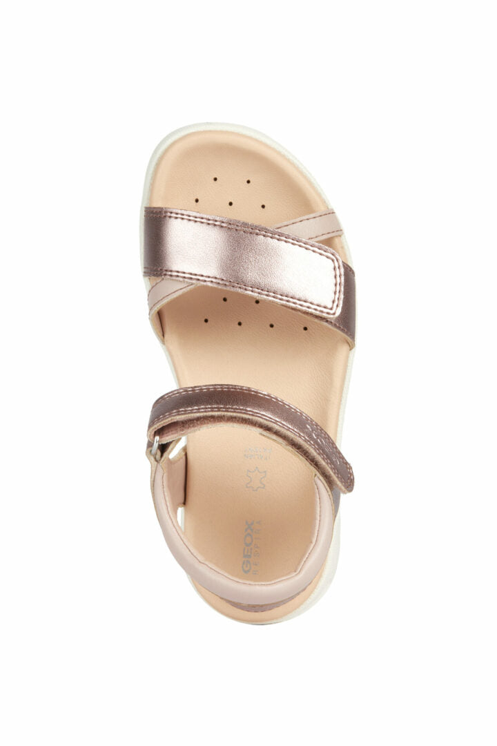 C F MPCJ35GSA0NFBCC8014 50