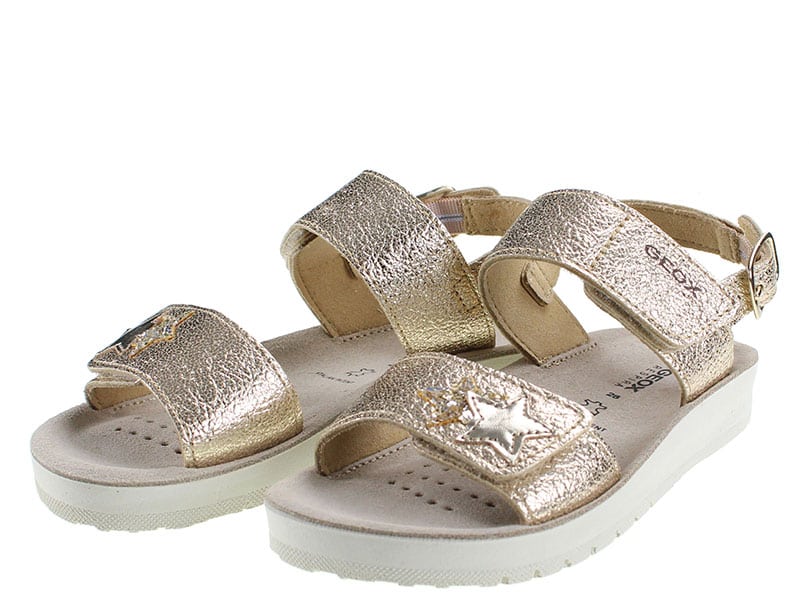 IMG 3473mm evo7 i3 pf8e 5m