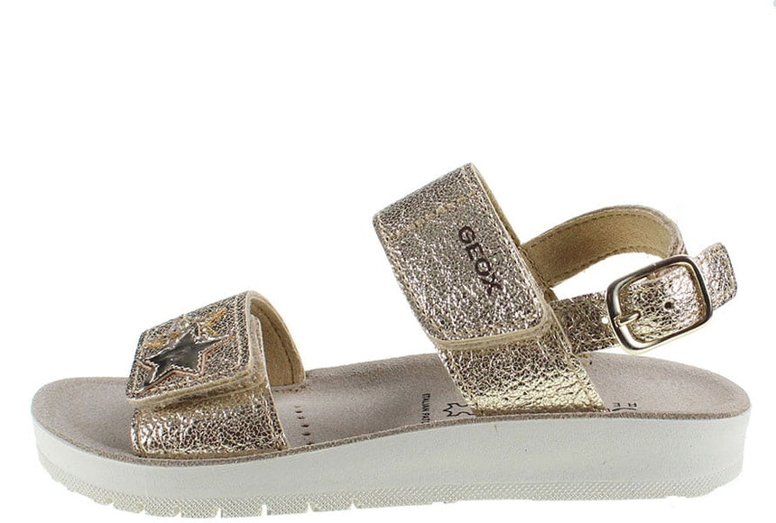 IMG 3474mm a556 qi 7de3 0k