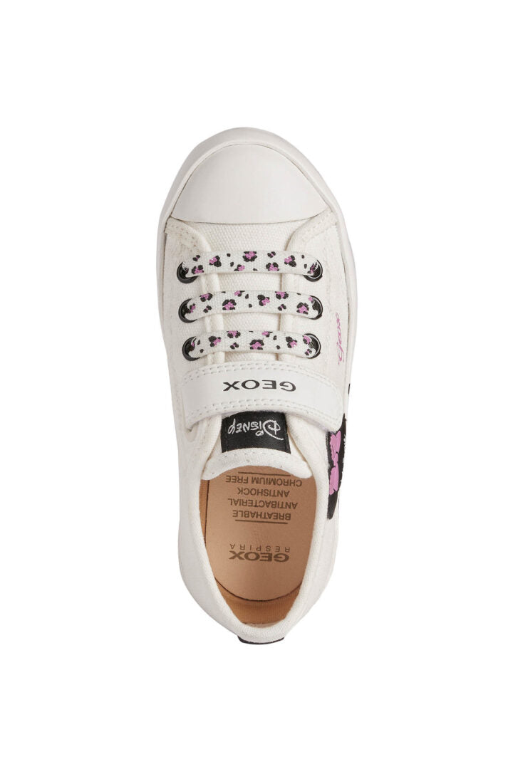 J2504D 00010 C0404 50