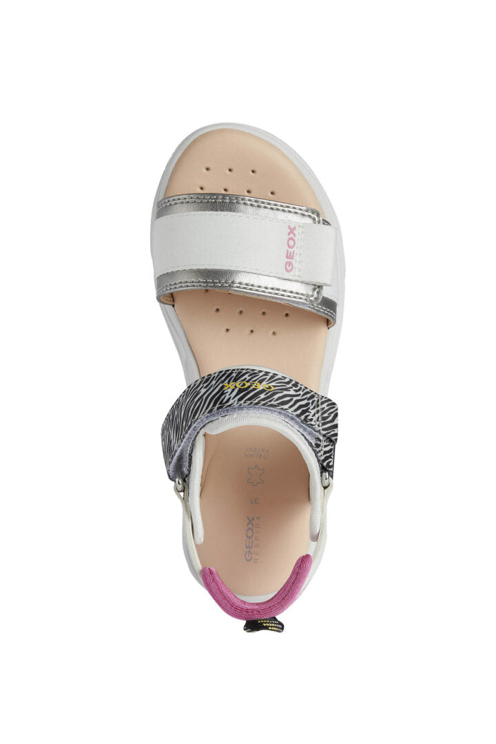 J25DUC 0NFZI C1Z1N 50