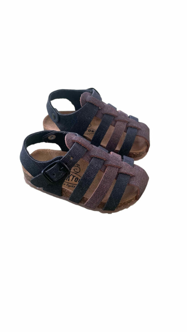 Plakton Panza 855602 Ships Bi Negro Marron