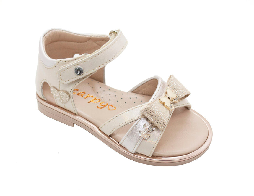 SD 501iridizon scaled