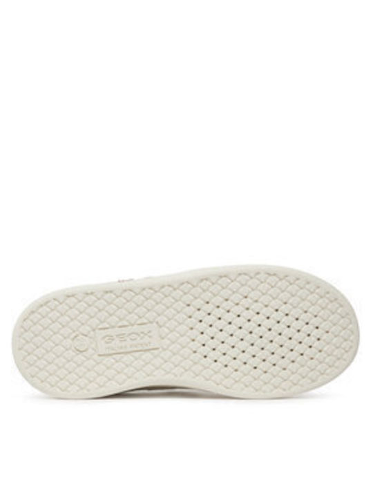 fixedratio_20231228091228_6464c8ff