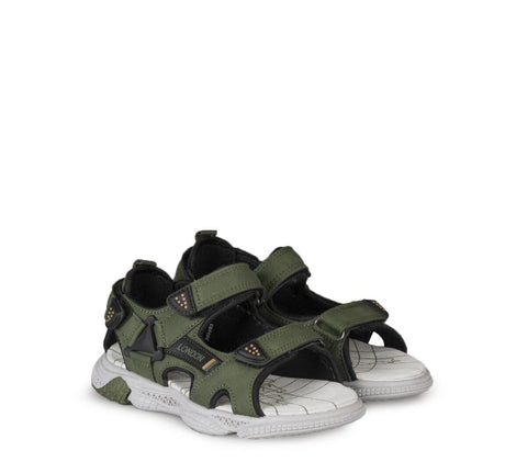 360993 green 2