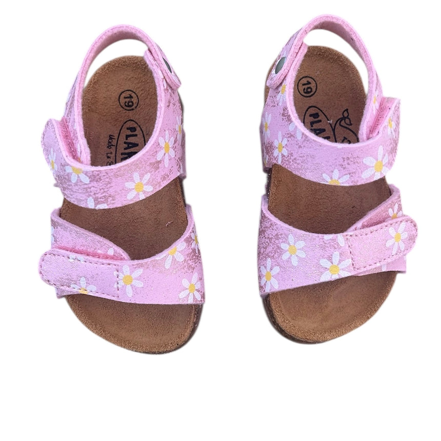 Plakton Πεδιλα patri 860037 estampado rosa 29 estam 6508